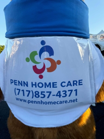 the mascot's shirt